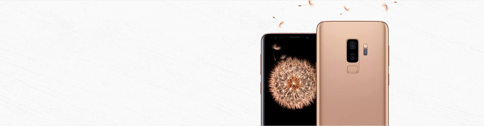 product-category-slide-1